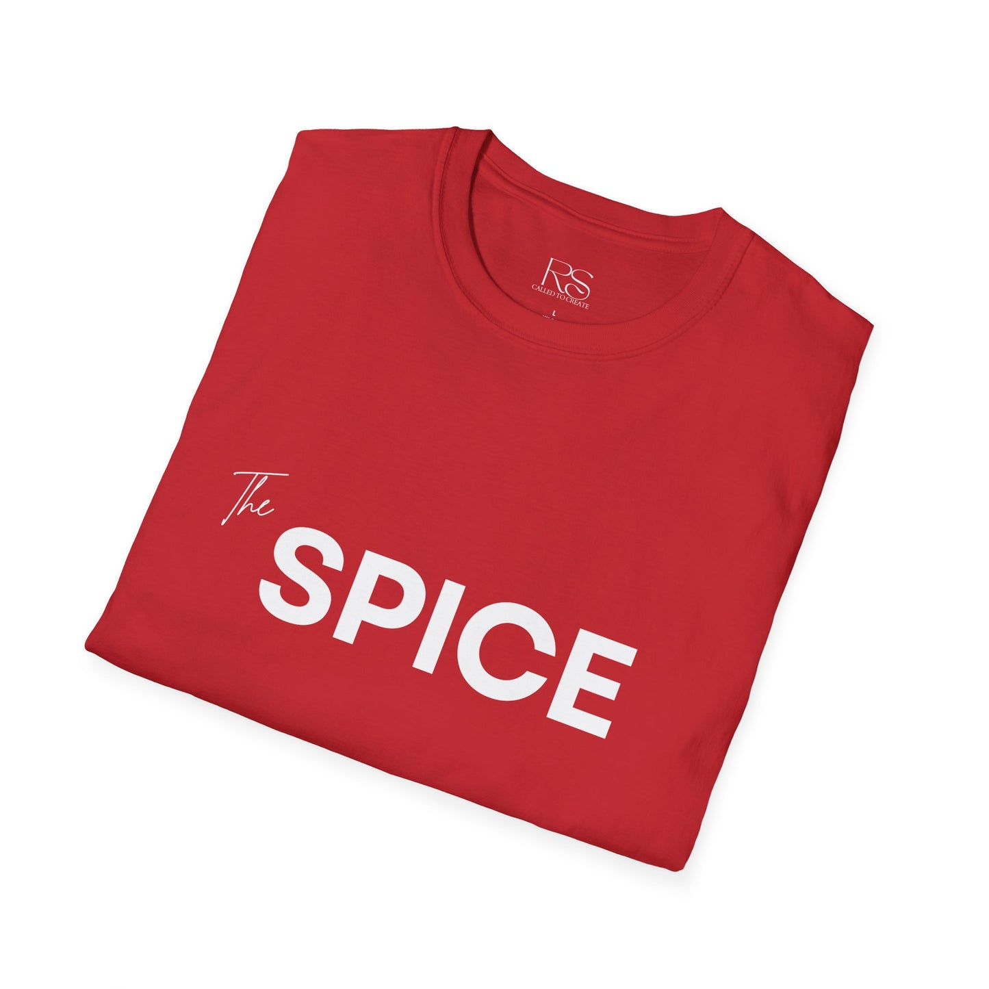 Couples Matching T-Shirt Set – The Spice & The Sauce Funny Relationship Tees for Him & Her