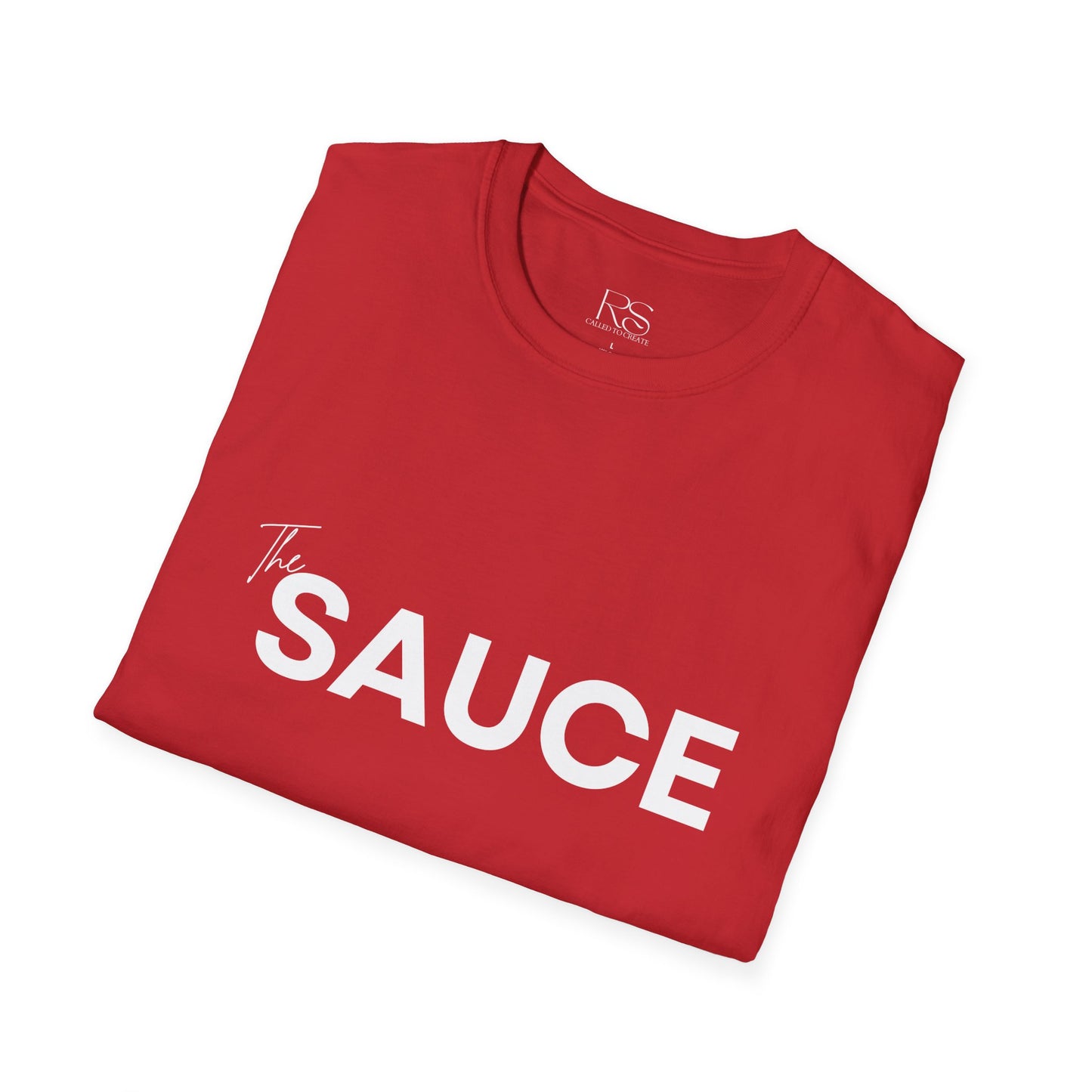 Couples Matching T-Shirt Set – The Sauce & The Spice Funny Relationship Tees for Him & Her